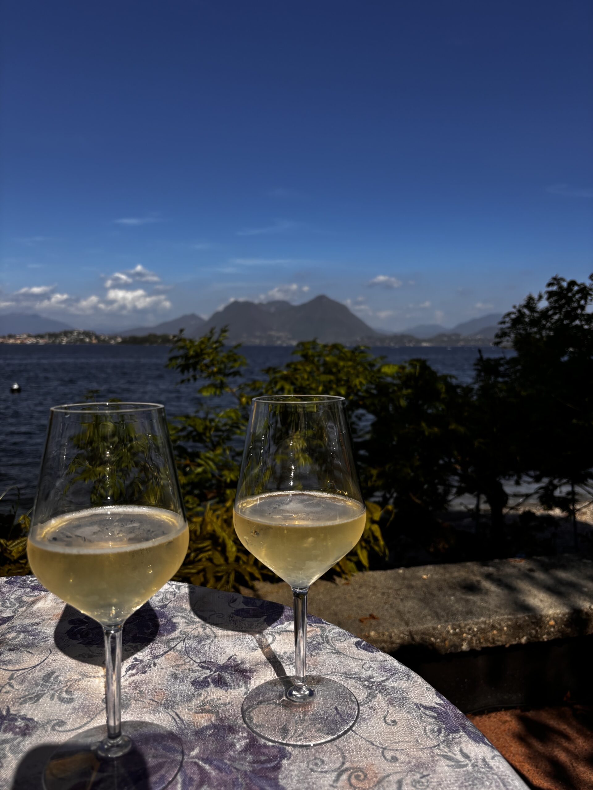 zwei gläser weißwein vor einer Bergkulisse